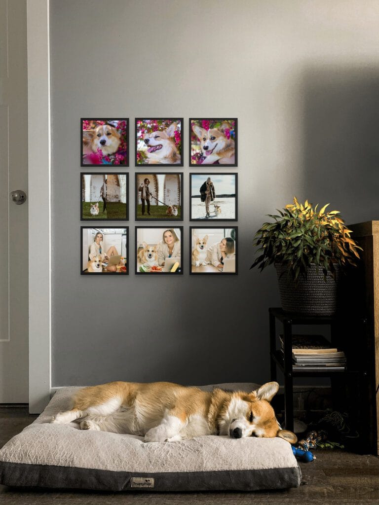Photo Gallery Wall Tiles