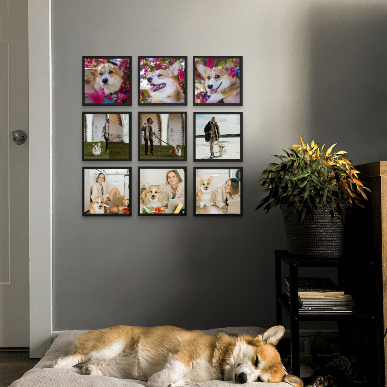 Photo Gallery Wall Tiles